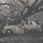 The forecast for October 12, 1962 called for partly cloudy with a few showers, with no mention of destructive winds. But the massive storm that blew in packed winds ranging from 50-to-150 miles per hour. 