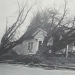 The storm injured hundreds, blew down or destroyed thousands of buildings throughout the region. There were millions of people without power from the San Francisco bay area to southern British Columbia and the storm blew down 15 billion board feet of timber from the coast to as far east as Western Montana.