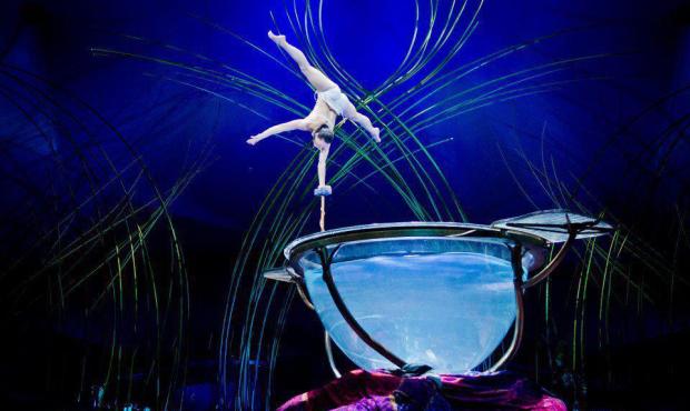 I also appreciated Cirque incorporating into “Amaluna” the human-sized waterbowl, from ...