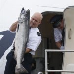 Alaska Airlines Capt. Jeff Meyer lifts up a 40-pound Copper River salmon after stepping off the plane as the first shipment of the valuable fish arrives in Seattle from Cordova, Alaska, Friday, May 17, 2013. The arrival of the salmon, which is prized for it's taste and color, is a rite of spring in Seattle, and the fish bring top dollar in restaurants and fish markets. (AP Photo/Ted S. Warren)