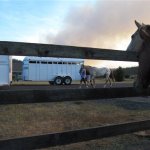 Jen Wulf prepares to load a horse into a trailer, while two others watch and wait, as smoke rises in the distance from a wildfire near Cle Elum, Wash. on Wednesday, Aug. 15, 2012. The fast-moving blaze has forced the evacuation of hundreds of residents, as well as livestock. (AP Photo/Shannon Dininny)