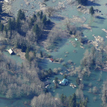 Houses and other structures are shown flooded by the backed-up Stillaguamish River up-river from the massive mudslide that killed at least eight people Saturday and left dozens missing, as shown in this aerial photo, Monday, March 24, 2014, near Arlington, Wash. (AP Photo/Ted S. Warren)