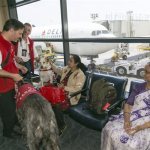 In this photo taken Tuesday, May 21, 2013, Travelers bound to India are greeted by volunteers with Pets Unstressing Passengers (PUPs) Brian Valente and his dog Finn, far left, and Lou Friedman and Hazel, second from left, as they walk around the Los Angeles International Airport terminal. The Los Angeles International Airport has 30 therapy dogs and is hoping to expand its program. The dogs are intended to take the stress out of travel: the crowds, long lines and terrorism concerns. (AP Photo/Damian Dovarganes)